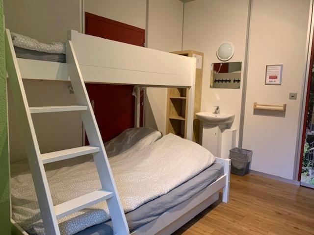 Backpacker Le Petit Baroudeur Hostel Champéry Екстериор снимка